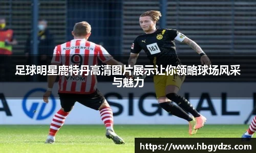 博鱼boyu官方平台